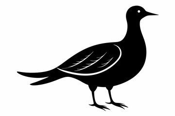 American woodcock silhouette black vector
