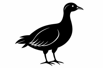 American woodcock silhouette black vector