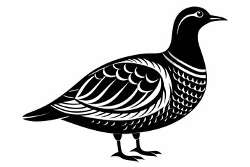 American woodcock silhouette black vector