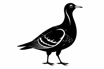 American woodcock silhouette black vector