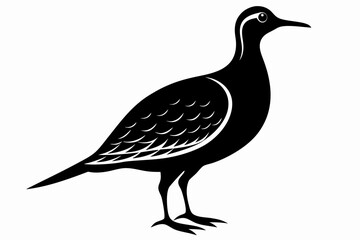 American woodcock silhouette black vector