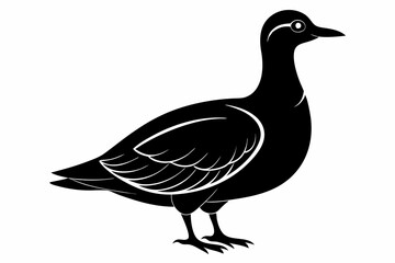 American woodcock silhouette black vector