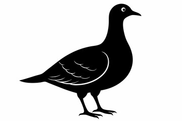 American woodcock silhouette black vector