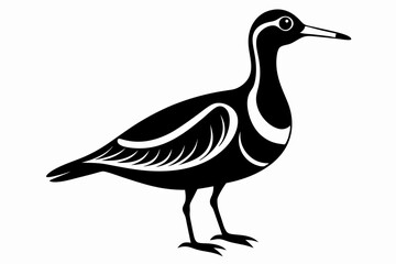 Obraz premium American woodcock silhouette black vector