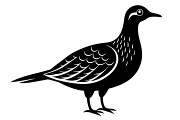 American woodcock silhouette black vector