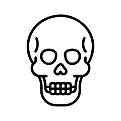 Fototapeta premium Human Skull Icon Representing Skeletal Head Structure