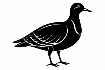 american woodcock sihouette black vector