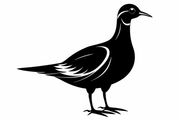 american woodcock sihouette black vector