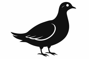 american woodcock sihouette black vector