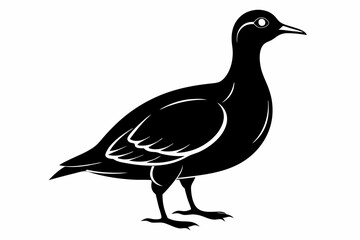 american woodcock sihouette black vector