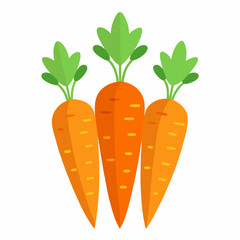 carrot Fruit isolated vector