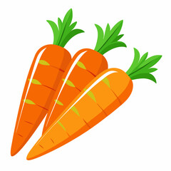 carrot Fruit isolated vector