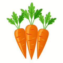 carrot Fruit isolated vector