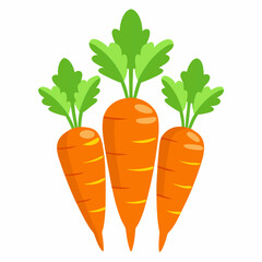 carrot Fruit isolated vector