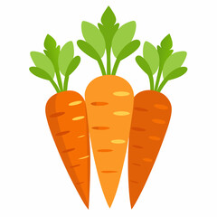 carrot Fruit isolated vector