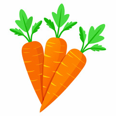 carrot Fruit isolated vector