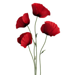 Vibrant Red Poppies Bold Abstract Background A Striking Floral Display