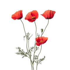 Naklejka premium Vibrant Red Poppies Against Abstract Stripes Bold Floral Art