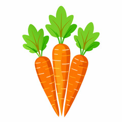carrot Fruit isolated vector