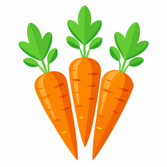 carrot Fruit isolated vector