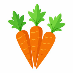carrot Fruit isolated vector
