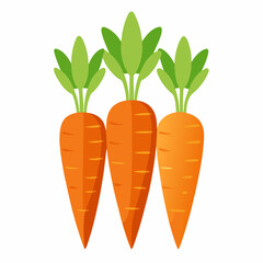 carrot Fruit isolated vector