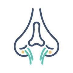 Obraz premium Nose with Nasal Passage Icon Representing Respiratory System and Nasal Function