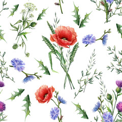 Seamless pattern with wild flowers in watercolor style.Poppy,chicory and herbs on white background.Digital botanical illustration. Print for any kind of design. Repeating texture.