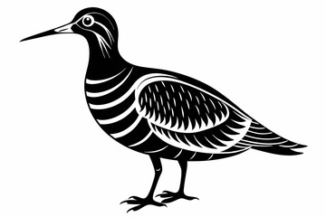 american woodcock sihouette black vector