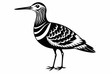 Obraz premium american woodcock sihouette black vector
