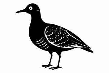 american woodcock sihouette black vector