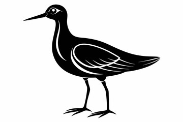 american woodcock sihouette black vector