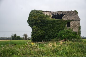 Obraz premium old abandoned house 