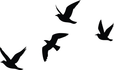 Fototapeta premium Group of Birds Flying Silhouette on Transparent Background Simple Design Style