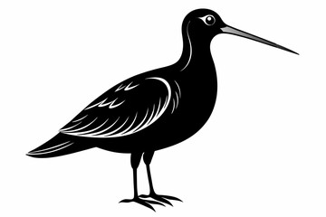 Obraz premium american woodcock sihouette black vector