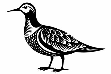 american woodcock sihouette black vector