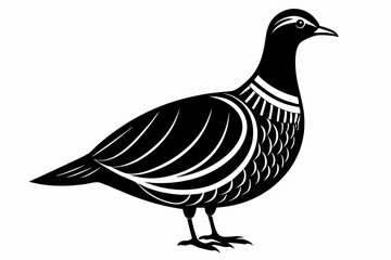 american woodcock sihouette black vector