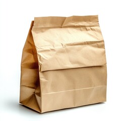 Brown paper lunch bag (10)