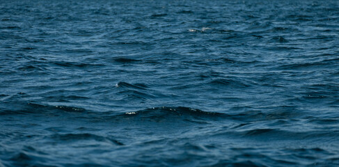 Naklejka premium Sea wave low angle view, dark deep ocean surface background