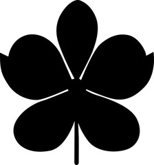 black and white flower