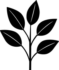 black and white flower