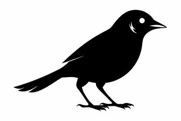 white bell bird silhouette black vector