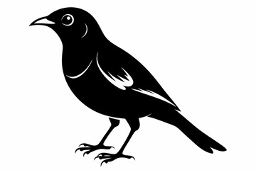 white bell bird silhouette black vector