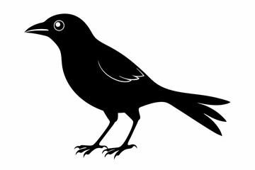white bell bird silhouette black vector