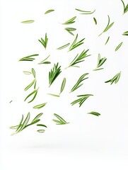 Naklejka premium Fresh Rosemary Sprigs on White Background Overhead View Culinary Herb Aroma Ingredient Flavoring