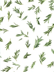 Obraz premium Fresh rosemary sprigs scattered on white backdrop creating a clean minimalist aesthetic for culinary design and organic concept