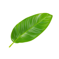 Fototapeta premium Realistic Green Leaf with Detailed Veins and Natural Texture