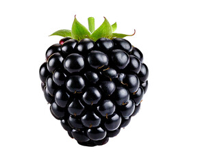 blackberry isolated on white background