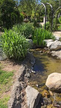 footage of a gorgeous spring landscape with a pond, lush green trees and flowers at Descanso Gardens La Ca&ntilde;ada Flintridge California USA