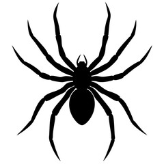 Spider silhouette isolated on white background